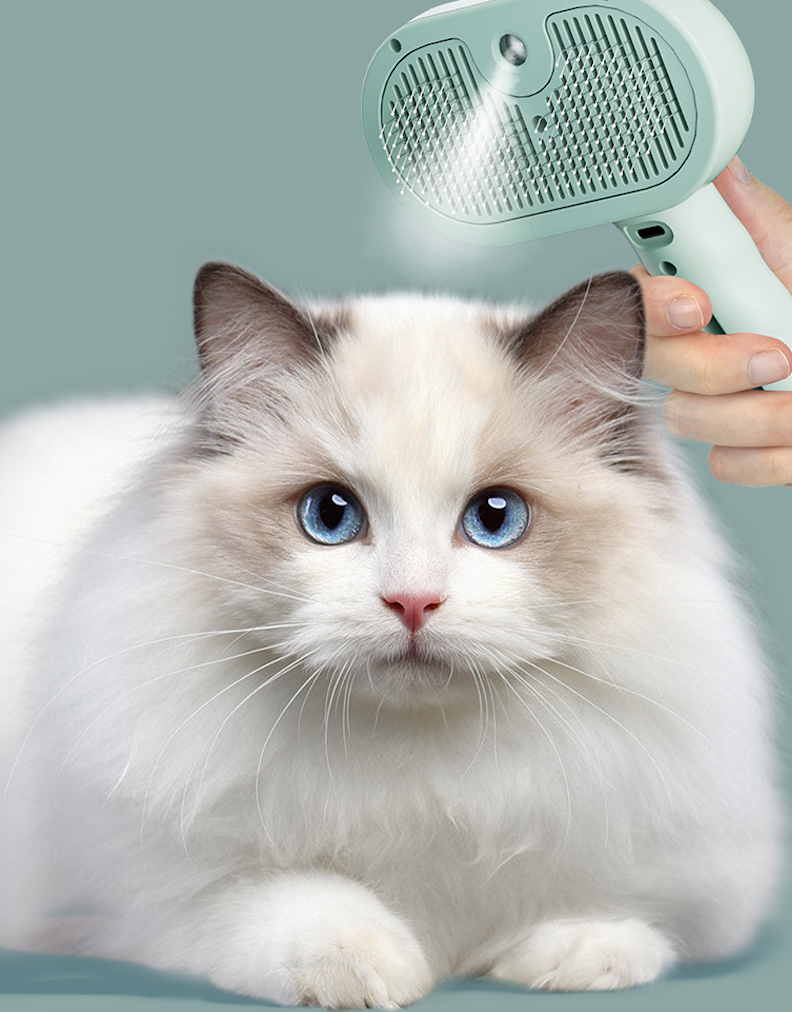Pet